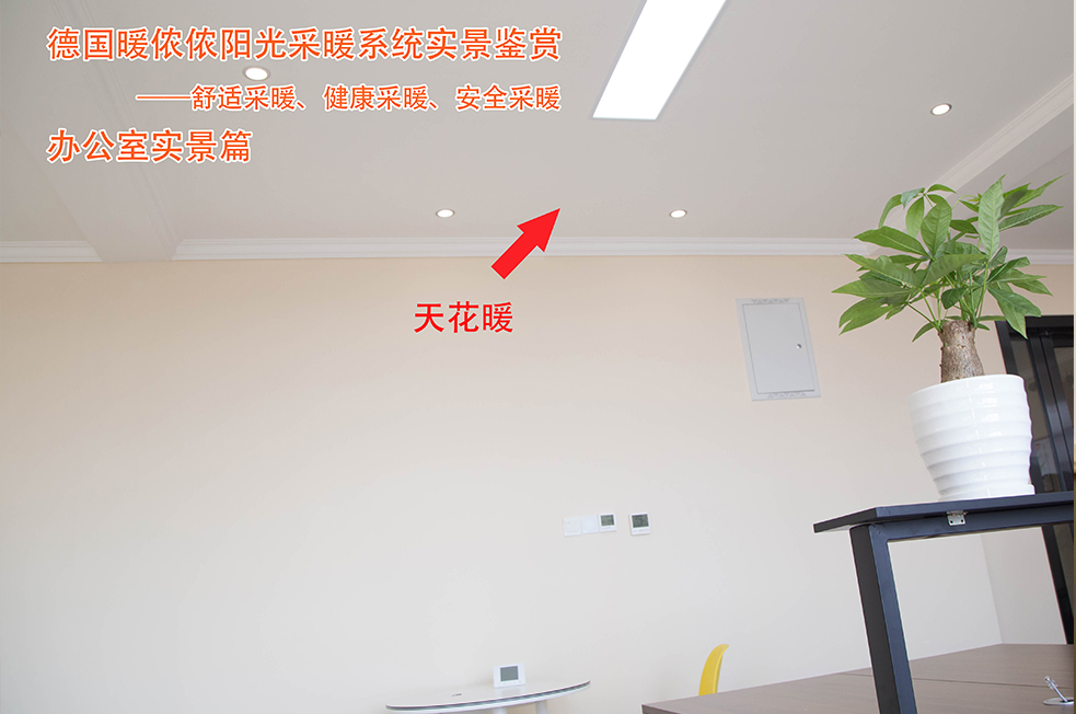 辦公室天花.jpg