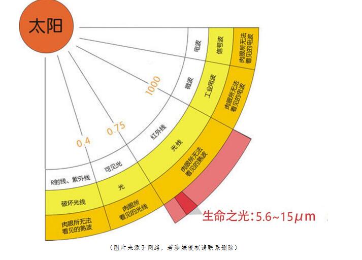 生命之光.jpg