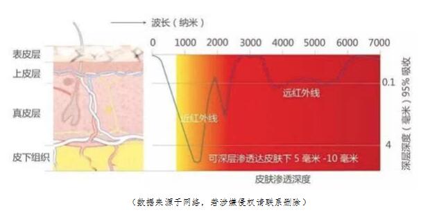 遠紅外滲入皮下.jpg