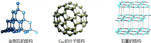 多種結構.png